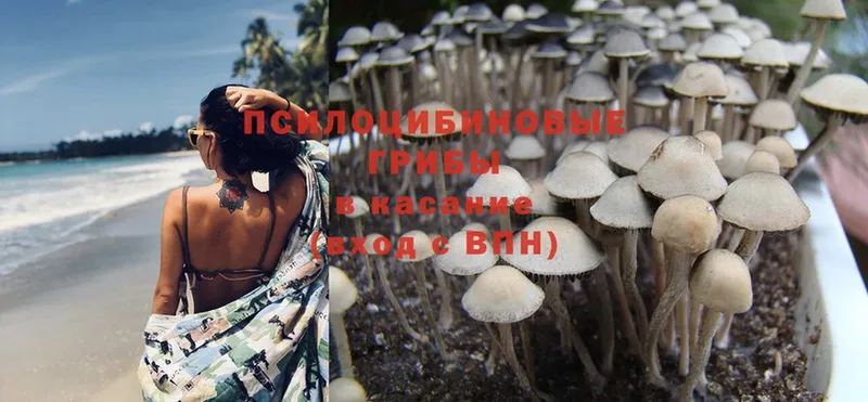 Псилоцибиновые грибы MAGIC MUSHROOMS  ОМГ ОМГ сайт  Нахабино 